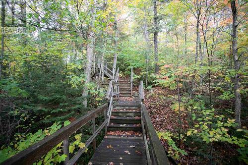 710 Trout Lake, Heyden, ON - Outdoor
