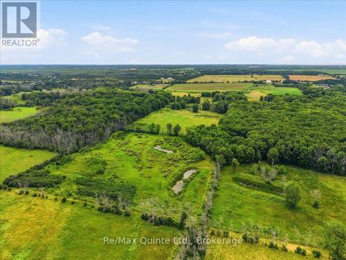 Some of the 12 ponds - 249 Carter Road, Prince Edward County (Hillier Ward), ON 