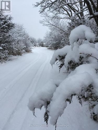 249 Carter Road, Prince Edward County (Hillier Ward), ON 