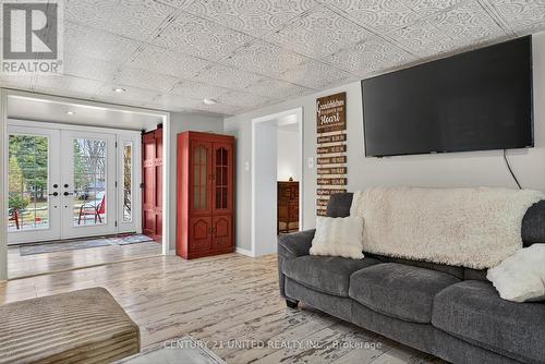 216 Alpine Lake Road, Trent Lakes, ON - Indoor Photo Showing Living Room