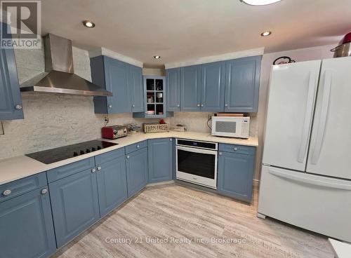 216 Alpine Lake Road, Trent Lakes, ON - Indoor Photo Showing Kitchen