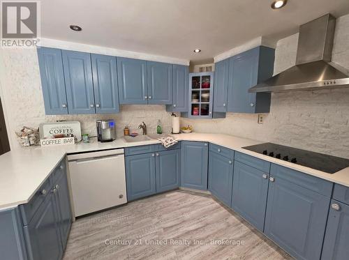 216 Alpine Lake Road, Trent Lakes, ON - Indoor Photo Showing Kitchen
