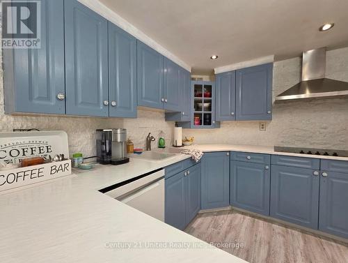 216 Alpine Lake Road, Trent Lakes, ON - Indoor Photo Showing Kitchen