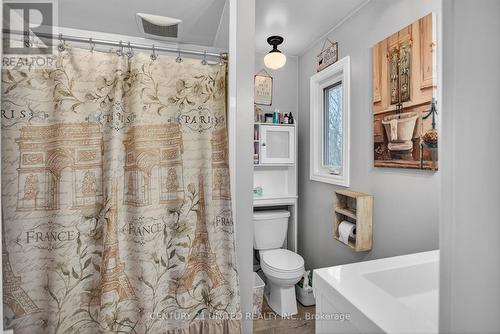 216 Alpine Lake Road, Trent Lakes, ON - Indoor Photo Showing Bathroom