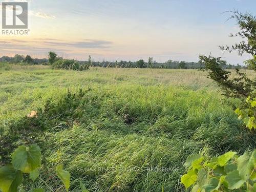 3878 County Rd 8, Greater Napanee (Greater Napanee), ON 