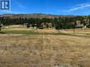 View from bottom of property lookin towards the mountain. - 528 Snowsell Street N, Kelowna, BC 