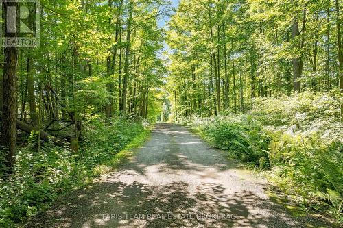 17956 Warden Avenue, East Gwillimbury, ON - Outdoor