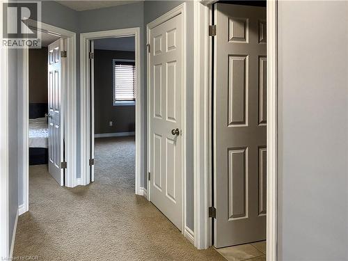 Interior hallway with light gray walls, textured carpeting, and white trim - 180 Huck Crescent, Kitchener, ON - Indoor Photo Showing Other Room