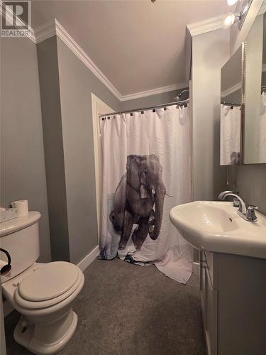52 Coronation Street, Corner Brook, NL - Indoor Photo Showing Bathroom