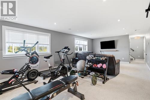 17 Lawlors Road, Paradise, NL - Indoor Photo Showing Gym Room