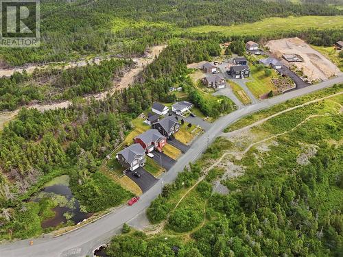 17 Lawlors Road, Paradise, NL - Outdoor With View