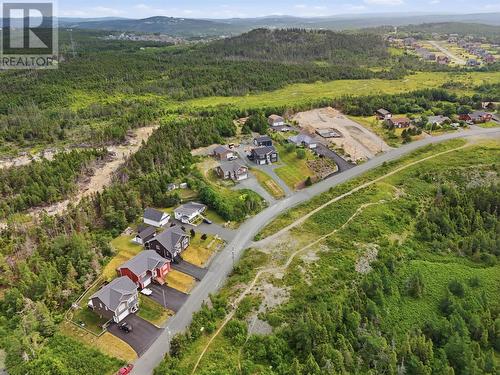17 Lawlors Road, Paradise, NL - Outdoor With View