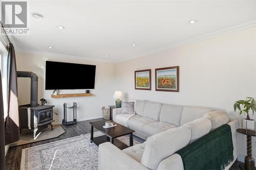 17 Lawlors Road, Paradise, NL - Indoor Photo Showing Living Room