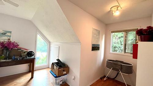 225 6Th Street, Nakusp, BC - Indoor Photo Showing Other Room