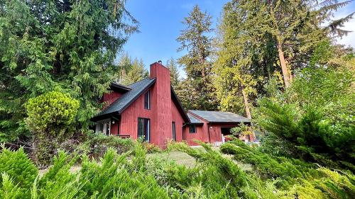 225 6Th Street, Nakusp, BC - Outdoor