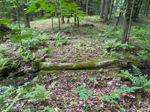 Woodland - 5E Rang O., Saint-Majorique-De-Grantham, QC 