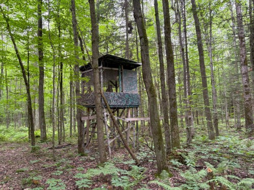 Woodland - 5E Rang O., Saint-Majorique-De-Grantham, QC 