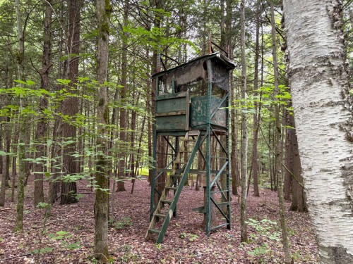 Woodland - 5E Rang O., Saint-Majorique-De-Grantham, QC 
