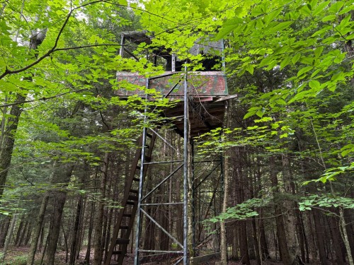 Woodland - 5E Rang O., Saint-Majorique-De-Grantham, QC 