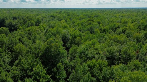 Aerial View - 5E Rang O., Saint-Majorique-De-Grantham, QC 