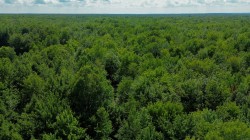 Aerial View - 