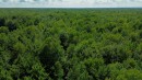 Aerial View - 5E Rang O., Saint-Majorique-De-Grantham, QC 
