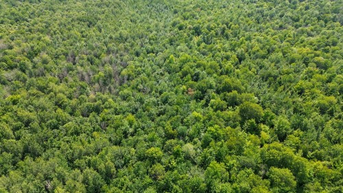 Aerial View - 5E Rang O., Saint-Majorique-De-Grantham, QC 