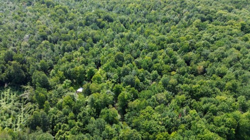 Aerial View - 5E Rang O., Saint-Majorique-De-Grantham, QC 