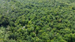 Aerial View - 