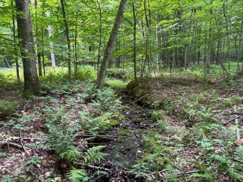 Woodland - 5E Rang O., Saint-Majorique-De-Grantham, QC 