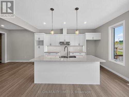 40 Finch Street, Tillsonburg, ON - Indoor Photo Showing Kitchen With Upgraded Kitchen