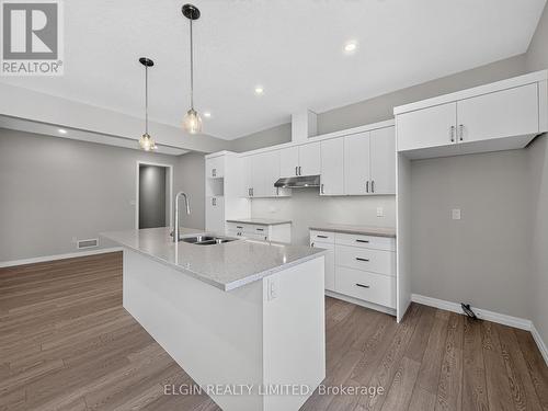 40 Finch Street, Tillsonburg, ON - Indoor Photo Showing Kitchen With Double Sink