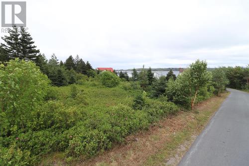 16 Hardings Lane, Bay Roberts, NL 