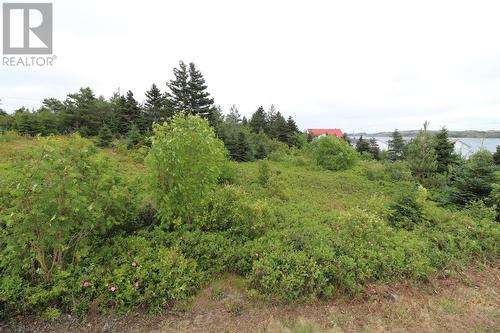 16 Hardings Lane, Bay Roberts, NL 