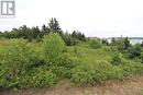 16 Hardings Lane, Bay Roberts, NL 