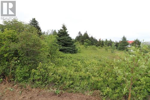 16 Hardings Lane, Bay Roberts, NL 