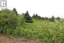 16 Hardings Lane, Bay Roberts, NL 