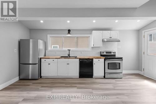 20 Lloyd Street, St. Catharines (Western Hill), ON - Indoor Photo Showing Kitchen With Double Sink