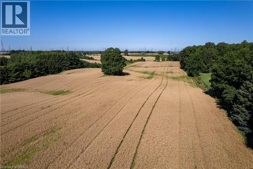 Expansive agricultural land featuring golden fields, mature perimeter trees, and a clear sky backdrop - 269 Brant County Road 22, Ancaster, ON - Outdoor With View