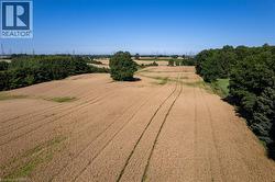 Expansive agricultural land featuring golden fields, mature perimeter trees, and a clear sky backdrop - 