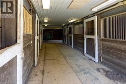 Barn interior featuring multiple stalls with wood construction and white trim - 