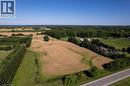 Expansive agricultural land featuring a golden field, mature tree lines, a single prominent tree, and a paved road bordering the property - 269 Brant County Road 22, Ancaster, ON  - Outdoor With View 
