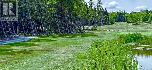 180 Route 780, St George, NB 