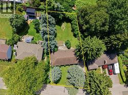 Expansive property featuring a brown shingle roof, mature perimeter trees, a large grassy backyard, and a paved driveway - 