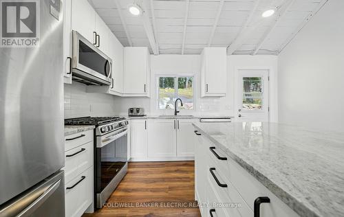 254 Fire Route 89C, Havelock-Belmont-Methuen, ON - Indoor Photo Showing Kitchen With Upgraded Kitchen