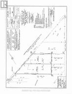 Survey - 