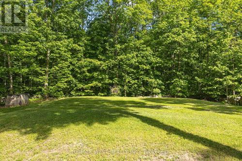 215 Flatrock Road, Tweed, ON - Outdoor