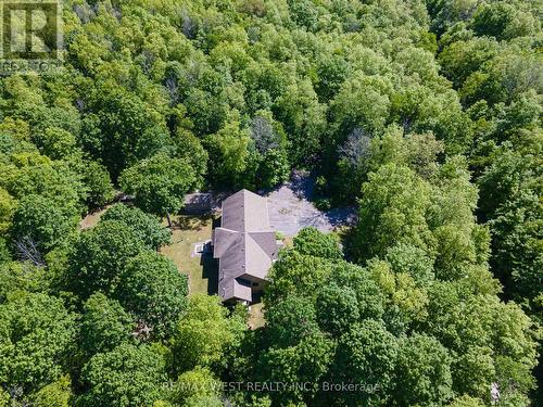 215 Flatrock Road, Tweed, ON - Outdoor