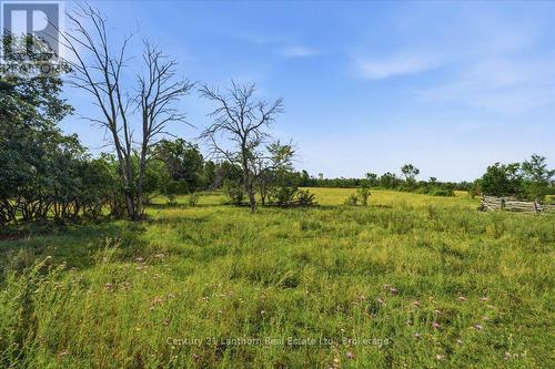 3485 11Th Line E, Trent Hills, ON 