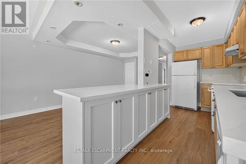 99 - 710 Spring Gardens Road, Burlington, ON - Indoor Photo Showing Kitchen